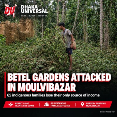 Overnight attack on betel gardens leaves 65 indigenous families in Moulvibazar worried about their future