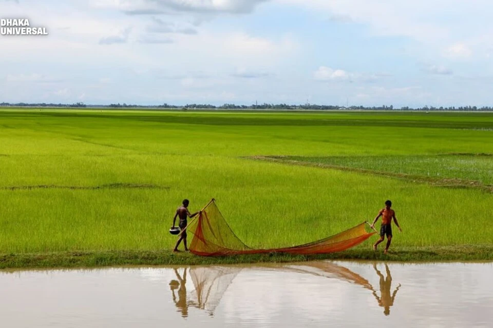 International Fund for Agricultural Development